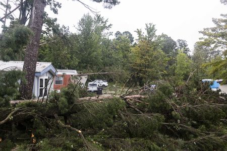 Got debris caused by severe storm? Here’s where to get rid of it in Kent County.