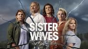 Meri, Janelle, Christine, Robyn, and Kody Brown in Sister Wives on TLC